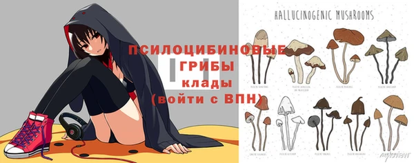 марки lsd Вяземский