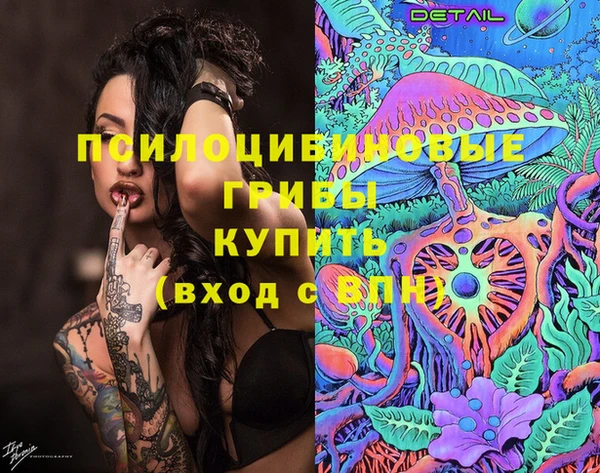 марки lsd Вяземский
