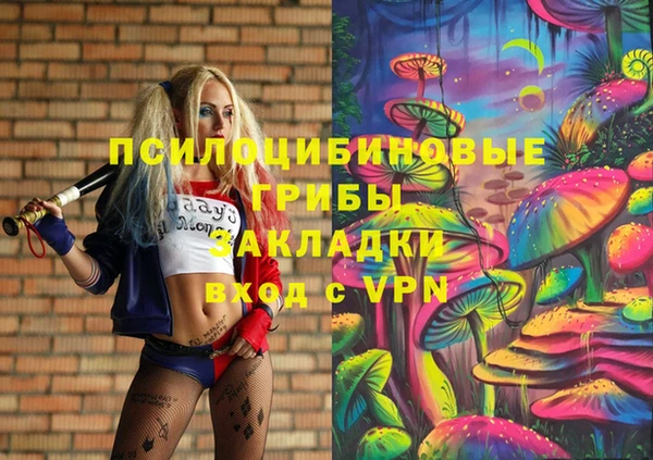 марки lsd Вяземский