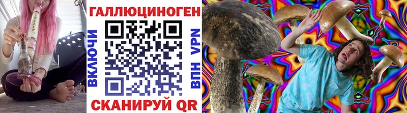 Галлюциногенные грибы Psilocybe Пестово