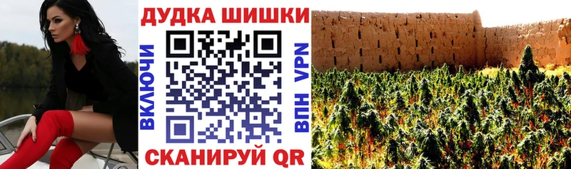 дарнет шоп  Пестово  Конопля сатива 